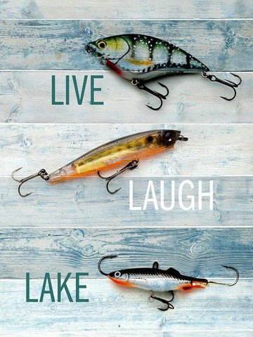 Lure 2 White Modern Wood Framed Art Print with Double Matting by Allen, Kimberly