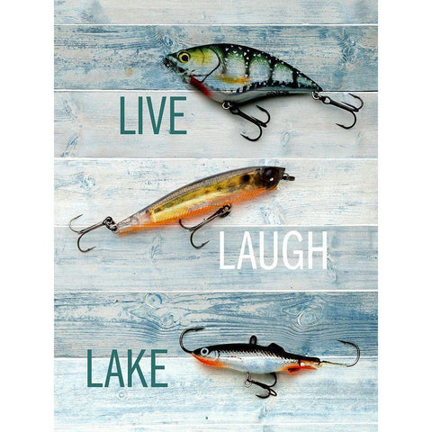 Lure 2 Black Modern Wood Framed Art Print by Allen, Kimberly