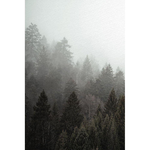 Mist 1 White Modern Wood Framed Art Print by Allen, Kimberly