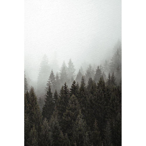 Mist 2 White Modern Wood Framed Art Print by Allen, Kimberly