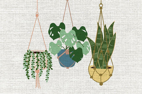 Burlap Hanging Plants White Modern Wood Framed Art Print with Double Matting by Allen, Kimberly