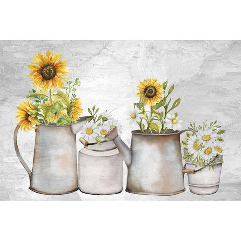 Hope Sunflower Daisies Black Modern Wood Framed Art Print with Double Matting by Allen, Kimberly