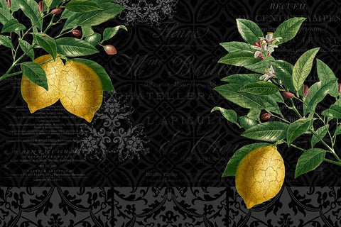 Lemon Drop White Modern Wood Framed Art Print with Double Matting by Allen, Kimberly