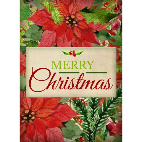 Poinsettia Christmas Black Modern Wood Framed Art Print with Double Matting by Allen, Kimberly