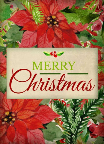 Poinsettia Christmas White Modern Wood Framed Art Print with Double Matting by Allen, Kimberly