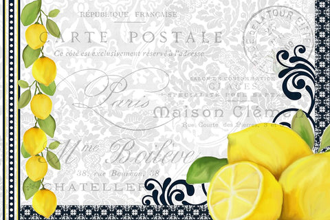 Lemons White Modern Wood Framed Art Print with Double Matting by Allen, Kimberly