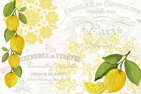 Mandala Lemon Black Ornate Wood Framed Art Print with Double Matting by Allen, Kimberly