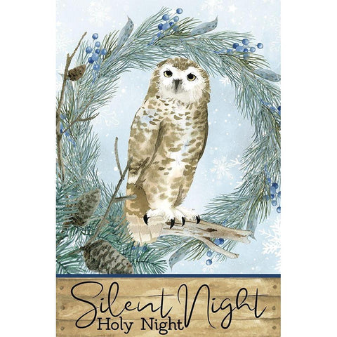 Winter Owl Black Modern Wood Framed Art Print with Double Matting by Allen, Kimberly