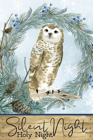 Winter Owl White Modern Wood Framed Art Print with Double Matting by Allen, Kimberly