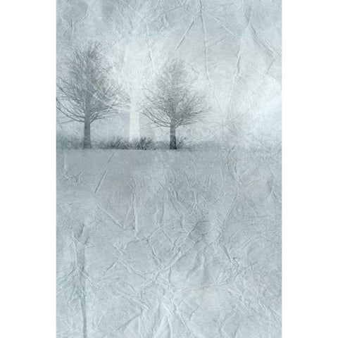 Dawn A Gold Ornate Wood Framed Art Print with Double Matting by Allen, Kimberly