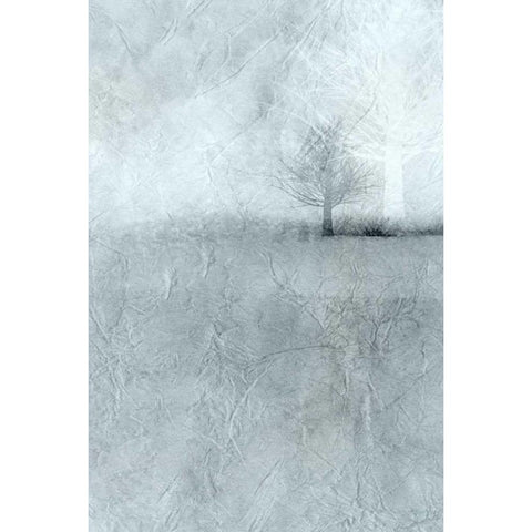 Dawn B Black Modern Wood Framed Art Print by Allen, Kimberly