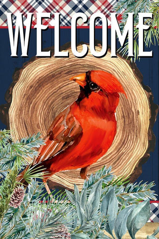 Cardinal Welcome Black Ornate Wood Framed Art Print with Double Matting by Allen, Kimberly