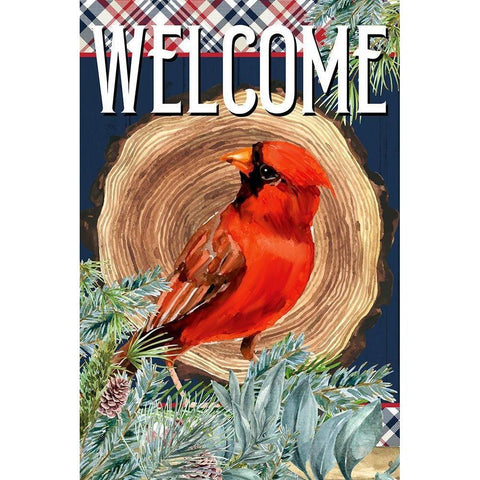 Cardinal Welcome Black Modern Wood Framed Art Print by Allen, Kimberly