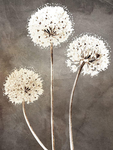 Stand 1 White Modern Wood Framed Art Print with Double Matting by Allen, Kimberly