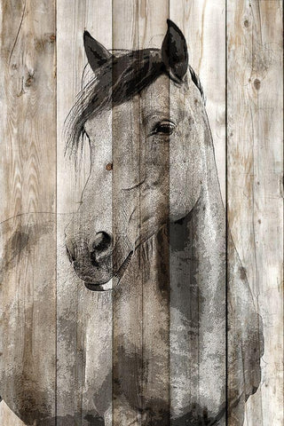 Young 1 White Modern Wood Framed Art Print with Double Matting by Allen, Kimberly