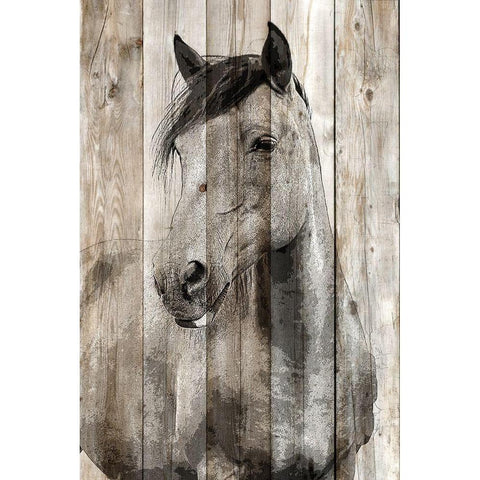Young 1 Black Modern Wood Framed Art Print with Double Matting by Allen, Kimberly