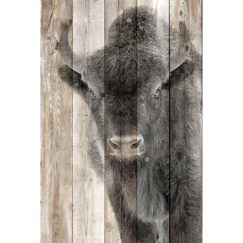 Young 2 White Modern Wood Framed Art Print by Allen, Kimberly