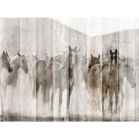 Herd Black Modern Wood Framed Art Print with Double Matting by Allen, Kimberly