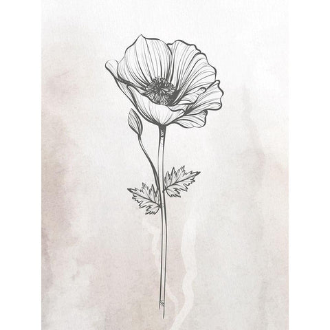 Stone Floral 1 Black Modern Wood Framed Art Print with Double Matting by Allen, Kimberly