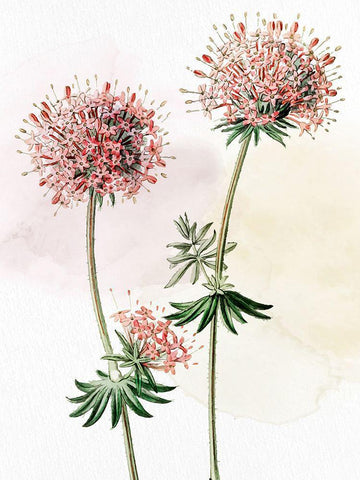 Watercolor Crosswort White Modern Wood Framed Art Print with Double Matting by Allen, Kimberly