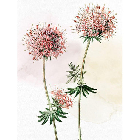 Watercolor Crosswort Black Modern Wood Framed Art Print by Allen, Kimberly