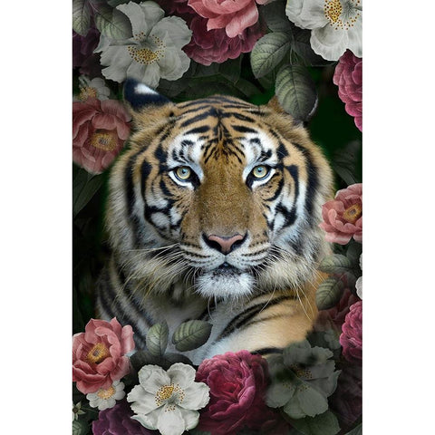 Lush Garden Tiger Black Modern Wood Framed Art Print by Allen, Kimberly