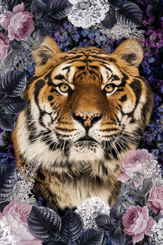 Tiger Deep Floral White Modern Wood Framed Art Print with Double Matting by Allen, Kimberly