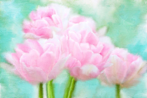 Pretty Pink White Modern Wood Framed Art Print with Double Matting by Allen, Kimberly
