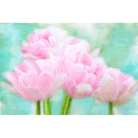 Pretty Pink Black Modern Wood Framed Art Print by Allen, Kimberly