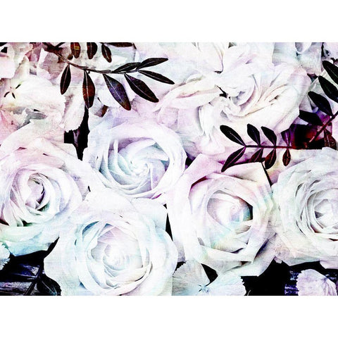 Iridescent Floral 2 White Modern Wood Framed Art Print by Allen, Kimberly