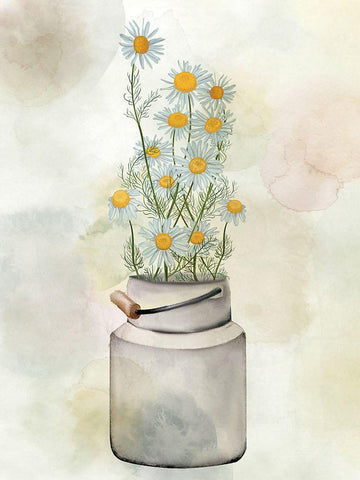 Tin Of Daisies White Modern Wood Framed Art Print with Double Matting by Allen, Kimberly