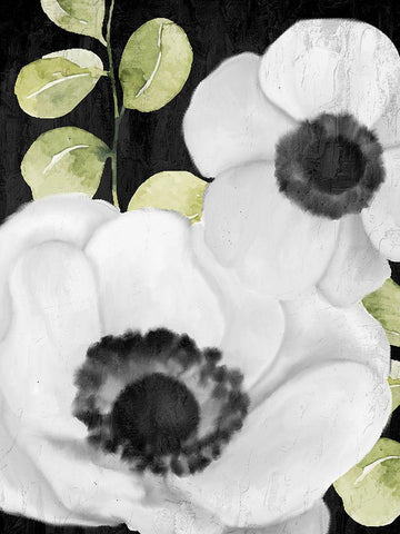 Anemone On Black 1 Black Ornate Wood Framed Art Print with Double Matting by Allen, Kimberly