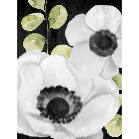 Anemone On Black 1 Black Modern Wood Framed Art Print by Allen, Kimberly