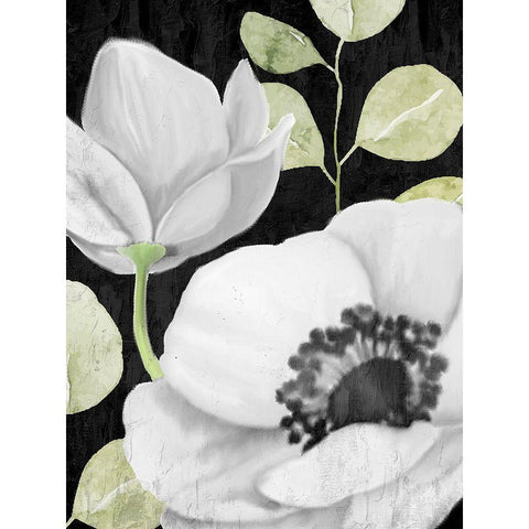 Anemone On Black 2 Gold Ornate Wood Framed Art Print with Double Matting by Allen, Kimberly