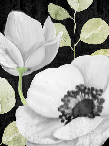 Anemone On Black 2 White Modern Wood Framed Art Print with Double Matting by Allen, Kimberly