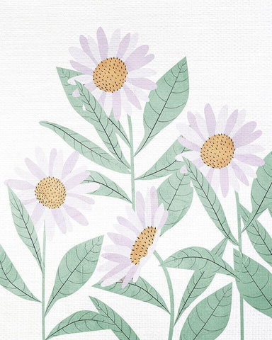 Daisies Floral White Modern Wood Framed Art Print with Double Matting by Allen, Kimberly