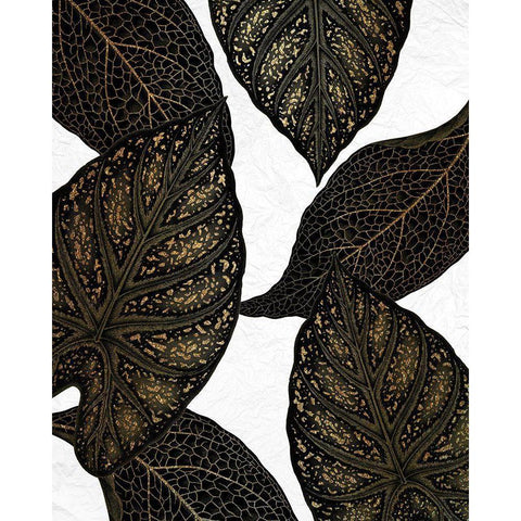 Tropical Black 1 Gold Ornate Wood Framed Art Print with Double Matting by Allen, Kimberly