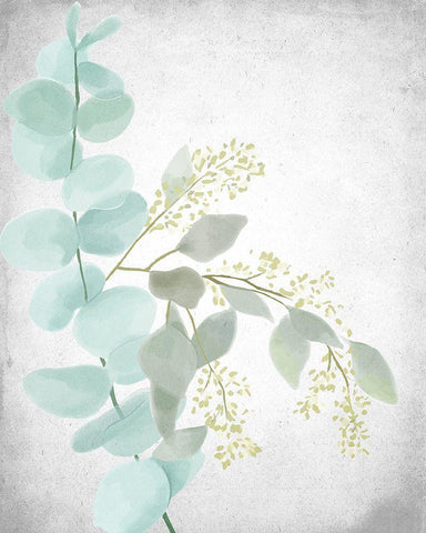 Eucalyptus and Leaves 2 White Modern Wood Framed Art Print with Double Matting by Allen, Kimberly