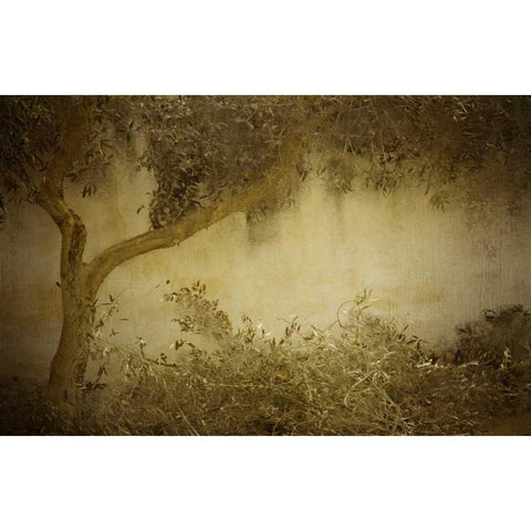 Olive Tree Gold Ornate Wood Framed Art Print with Double Matting by Allen, Kimberly