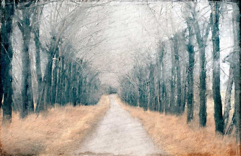 Pathway in the Mist White Modern Wood Framed Art Print with Double Matting by Allen, Kimberly