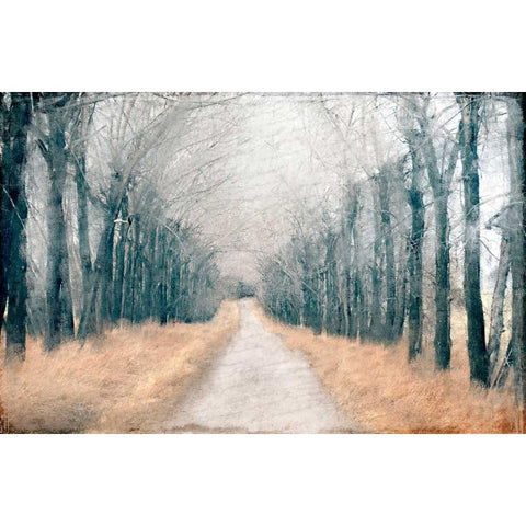 Pathway in the Mist Black Modern Wood Framed Art Print by Allen, Kimberly