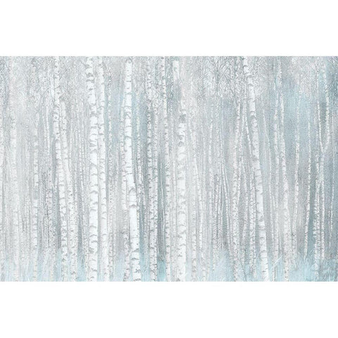 Birches White Modern Wood Framed Art Print by Allen, Kimberly