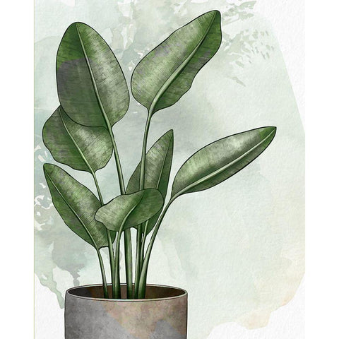 House Plant 1 White Modern Wood Framed Art Print by Allen, Kimberly