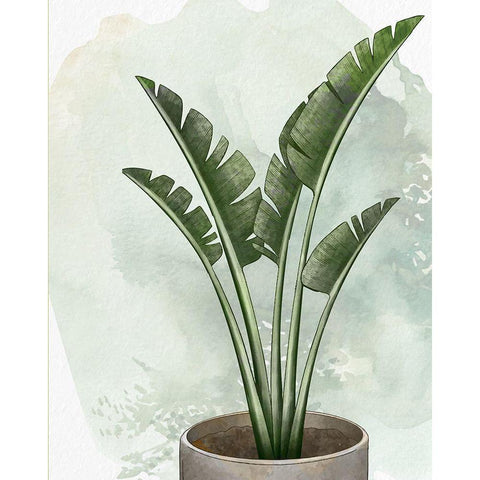 House Plant 2 White Modern Wood Framed Art Print by Allen, Kimberly