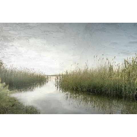 Marsh White Modern Wood Framed Art Print by Allen, Kimberly