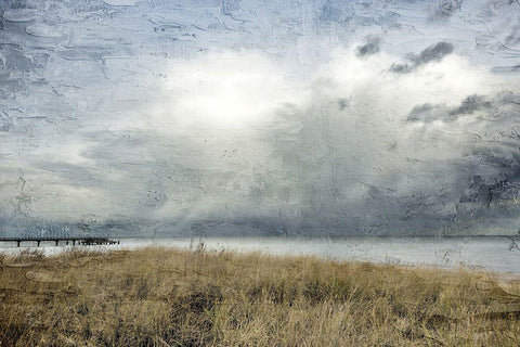 Moody Beach Day Black Ornate Wood Framed Art Print with Double Matting by Allen, Kimberly