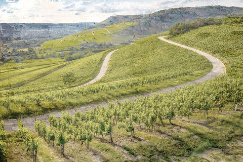 Vineyard Green White Modern Wood Framed Art Print with Double Matting by Allen, Kimberly