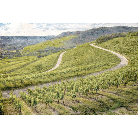 Vineyard Green Black Modern Wood Framed Art Print by Allen, Kimberly