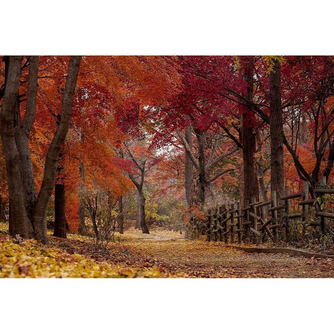 Autumn Stroll Gold Ornate Wood Framed Art Print with Double Matting by Allen, Kimberly