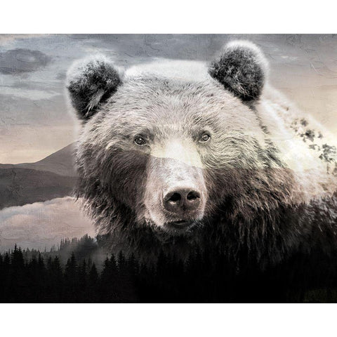 Bear Mountain White Modern Wood Framed Art Print by Allen, Kimberly
